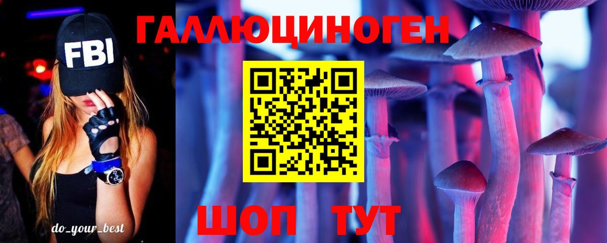 Галлюциногенные грибы Psilocybine cubensis Майкоп